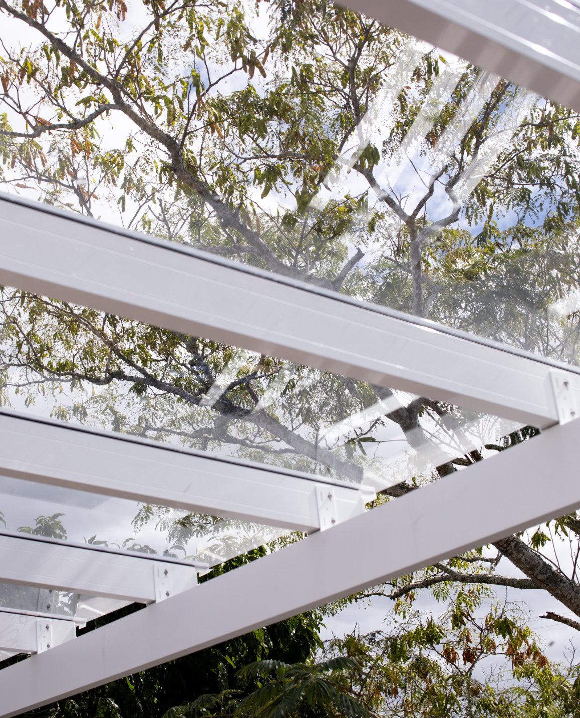 auckland pergola polycarbonate